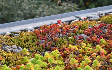 the cost of Worsley green roof installation